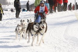 Lenk 2012 SM